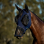 WeatherBeeta ComfiTec Luxe Stretch Fly Mask with Ears and Nose - Navy/Black