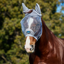 WeatherBeeta ComfiTec Fine Mesh Fly Mask with Ears - Grey