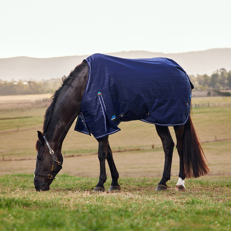 WeatherBeeta ComfiTec Prelim 0g Turnout Rug - Navy Embossed Plaid-7