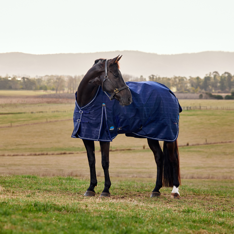 WeatherBeeta ComfiTec Prelim 0g Turnout Rug - Navy Embossed Plaid-8