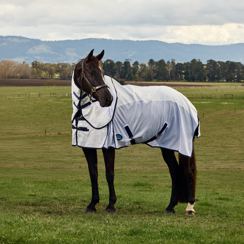 WeatherBeeta Airstream Combo Rug - White/Navy-8