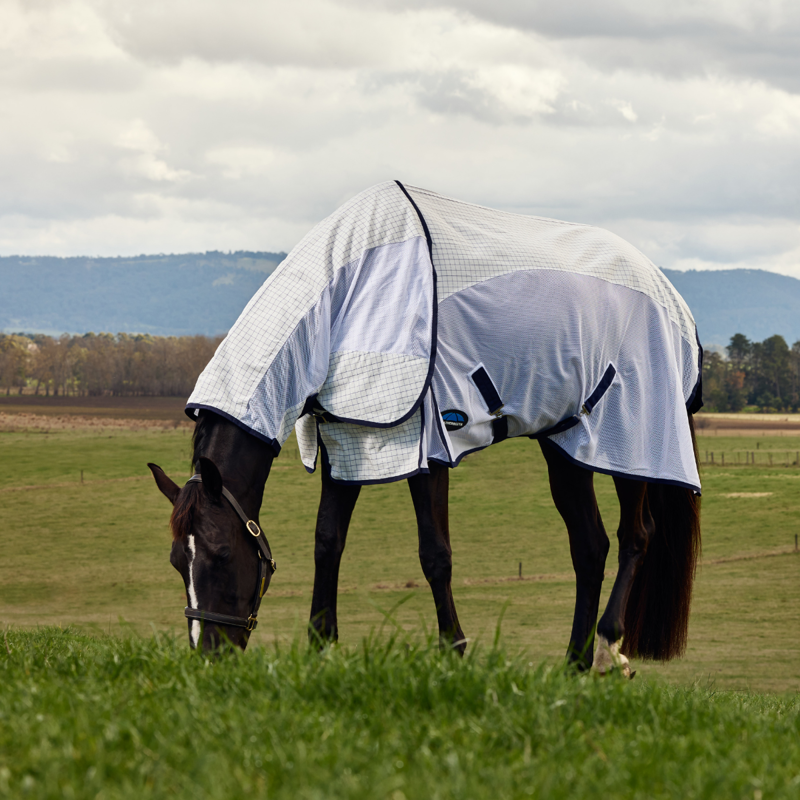 WeatherBeeta Airstream Combo Rug - White/Navy-7
