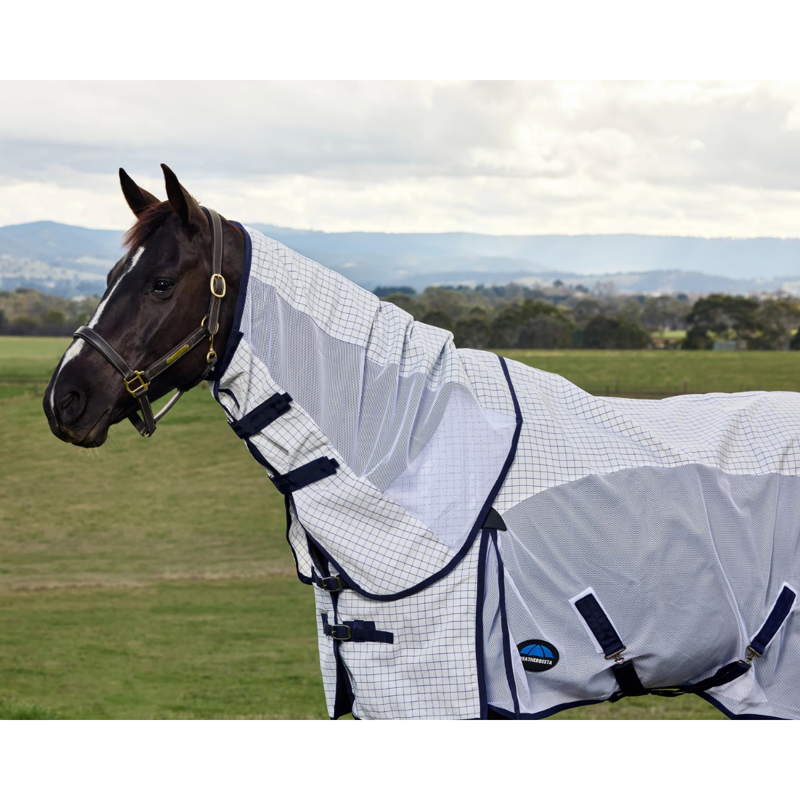 WeatherBeeta Airstream Combo Rug - White/Navy-1