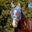 WeatherBeeta ComfiTec Durable Mesh Mask with Ears - Grey