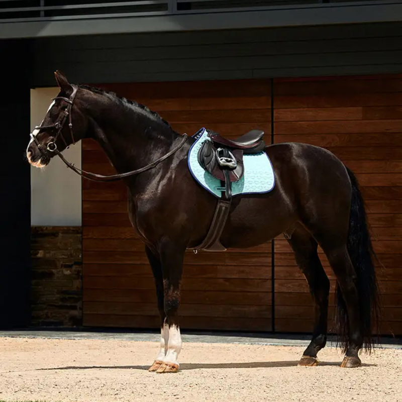 WeatherBeeta Suede Elite Air-Tec Jump Shaped Saddlepad - Aqua-4