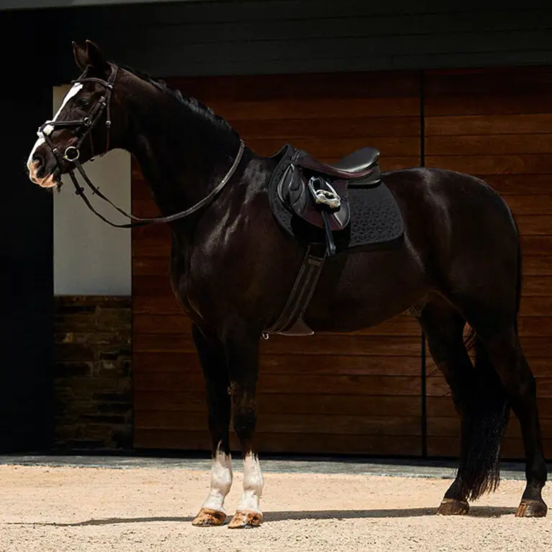 WeatherBeeta Suede Elite Air-Tec Jump Shaped Saddlepad - Black-4