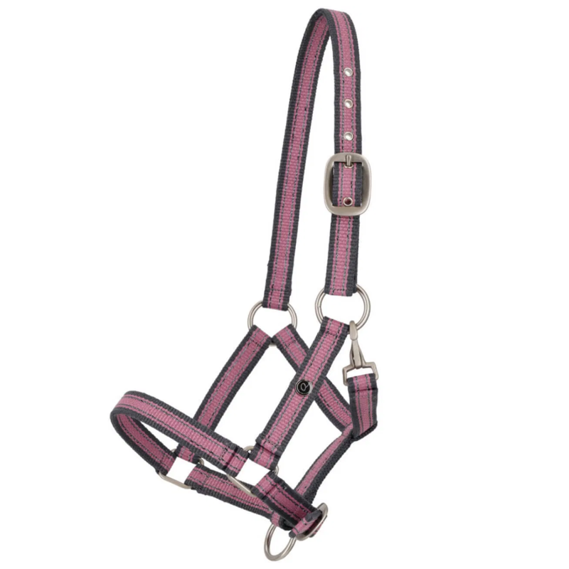 QHP Foal Collection Headcollar - Cheery Pink
