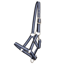 QHP Foal Collection Headcollar - Misty Blue