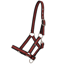 QHP Foal Collection Headcollar - Sunset Red
