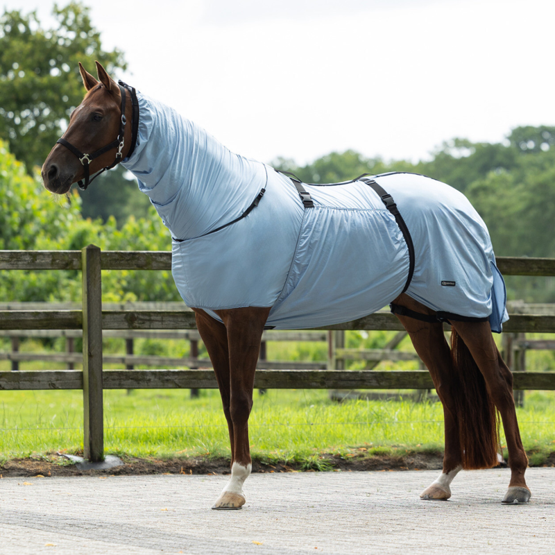 QHP Eczema Rug - Steel Blue