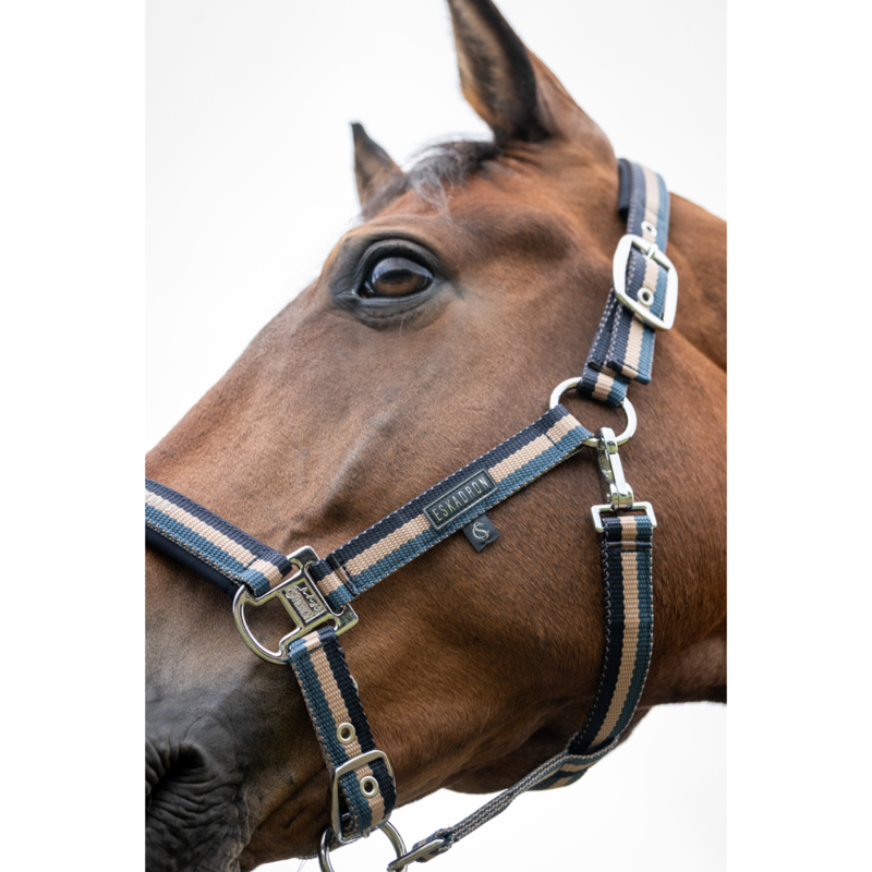 Eskadron Double Pin Headcollar Classic Sports SS26 - Ocean/Sierra/Navy-1