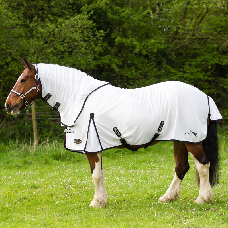Gallop Dual 5-Point Fly Rug and Neck Set - White