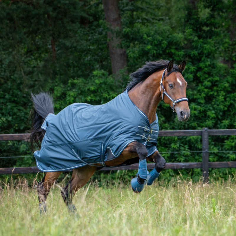 Eskadron Waterproof Light Turnout Rug Classic Sports SS26 - Ocean-2