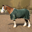 Gallop Summer Sheet - Green