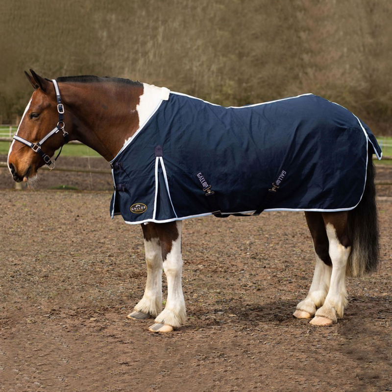 Gallop Summer Sheet - Navy