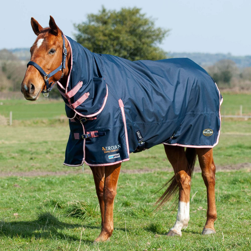 Gallop Trojan Duraproof 50g Turnout Combo Rug - Navy