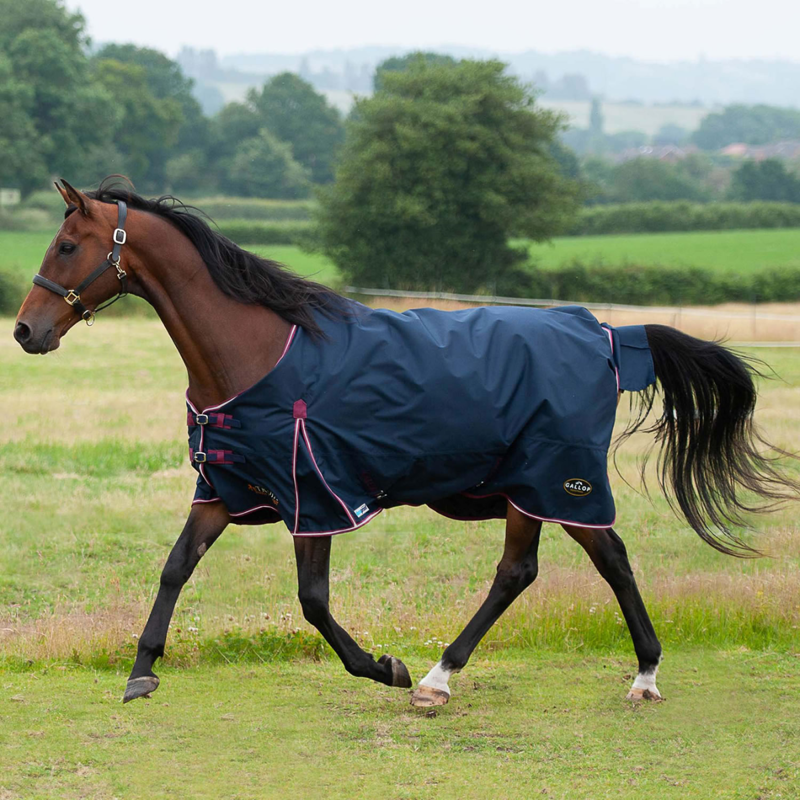 Gallop Trojan Duraproof 50g 5-Point Standard Neck Turnout Rug - Navy