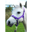 Gallop Headcollar and Leadrope Set - Purple