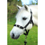 Gallop Headcollar and Leadrope Set - Black