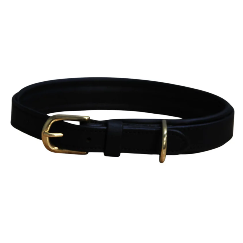 Mackey Padded Leather Dog Collar - Black