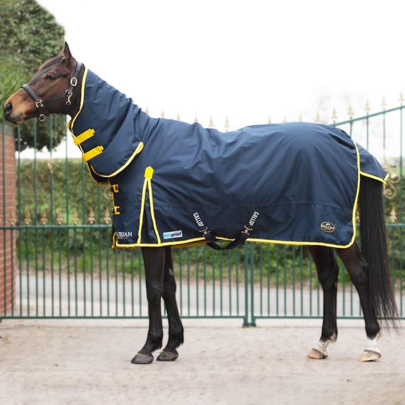 Gallop Trojan Duraproof 200g Turnout Combo Rug - Navy