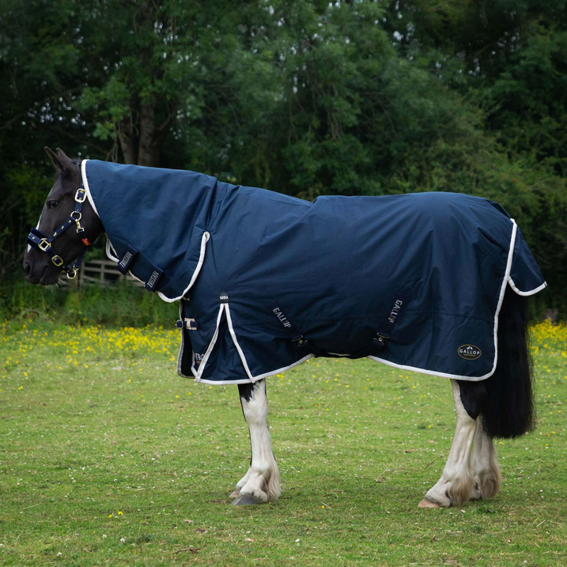 Gallop Trojan Duraproof 100g Turnout Combo Rug - Navy