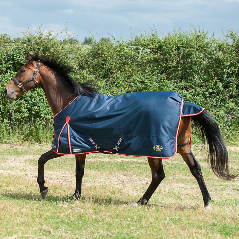 Gallop Trojan Duraproof 1200g Turnout Rug - Navy
