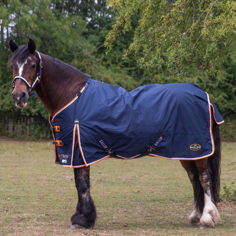 Gallop Trojan Duraproof 100g Turnout Rug - Navy