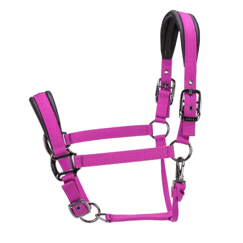 Shires ARMA Pro Padded Headcollar - Raspberry
