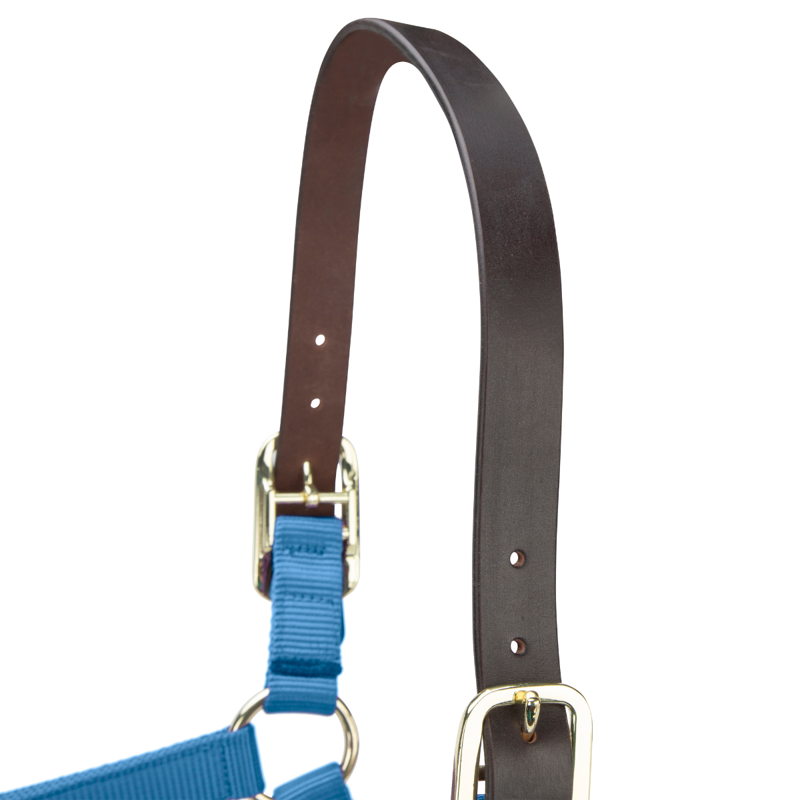 Shires ARMA Premium Adjustable FieldSafe Headcollar - Royal-3