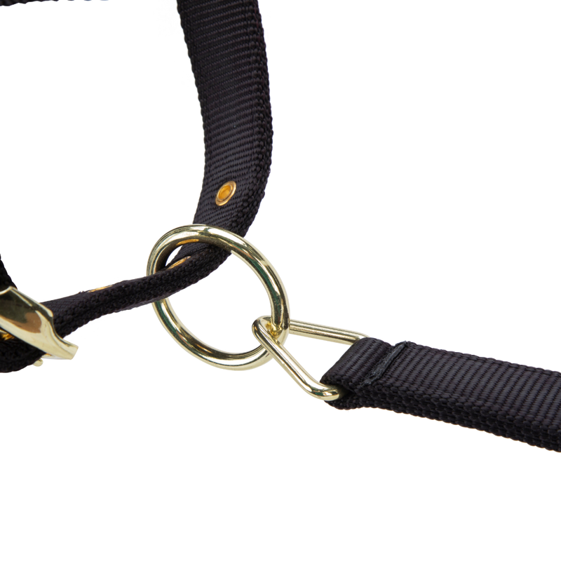 Shires ARMA Premium Adjustable FieldSafe Headcollar - Black-4