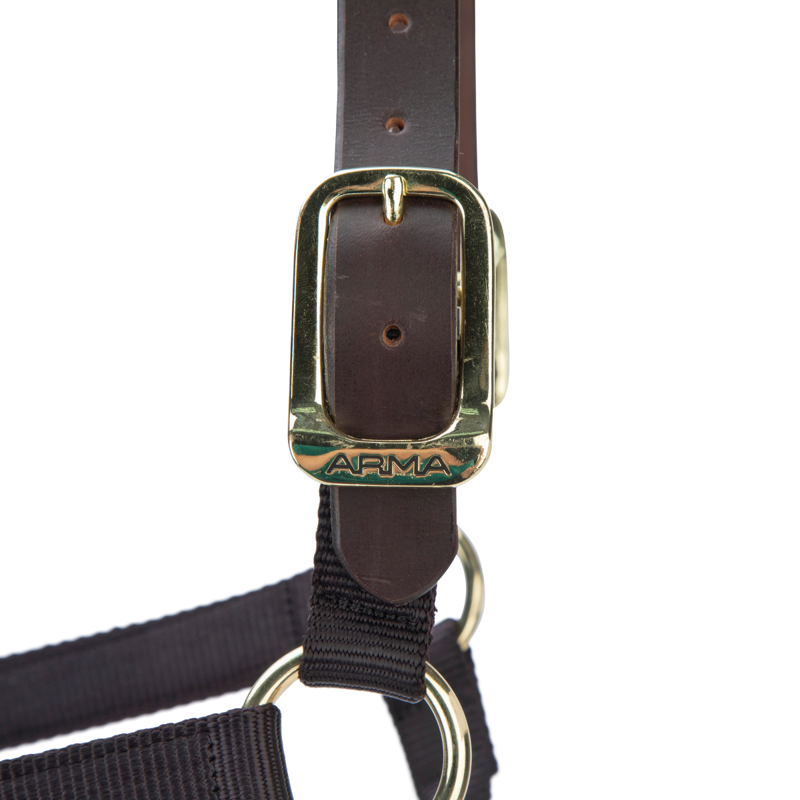 Shires ARMA Premium Adjustable FieldSafe Headcollar - Black-7