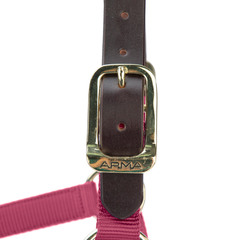 Shires ARMA Premium Adjustable FieldSafe Headcollar - Burgundy-1