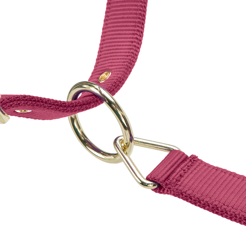 Shires ARMA Premium Adjustable FieldSafe Headcollar - Burgundy-6