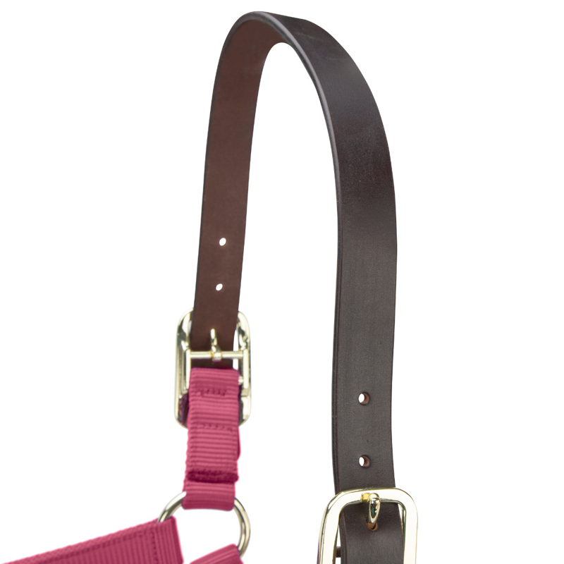 Shires ARMA Premium Adjustable FieldSafe Headcollar - Burgundy-2