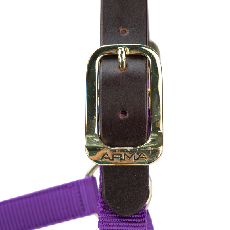Shires ARMA Premium Adjustable FieldSafe Headcollar - Purple-3