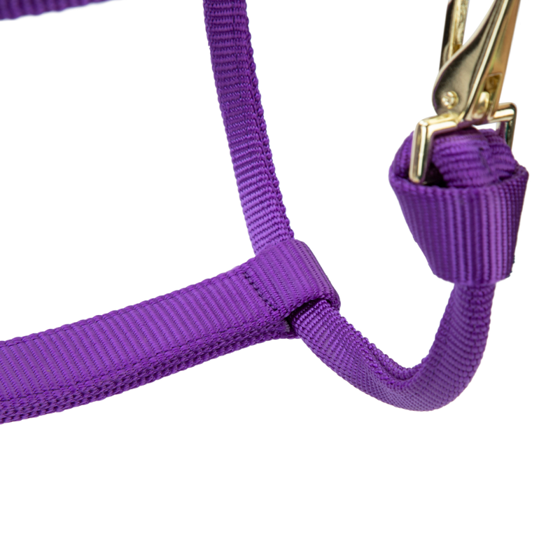 Shires ARMA Premium Adjustable FieldSafe Headcollar - Purple-4