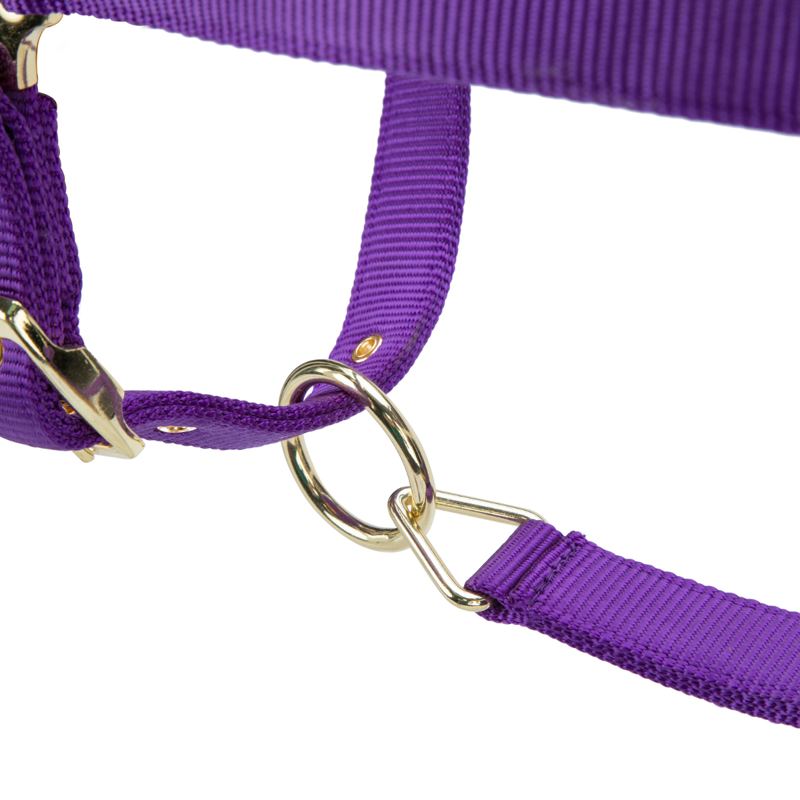 Shires ARMA Premium Adjustable FieldSafe Headcollar - Purple-5