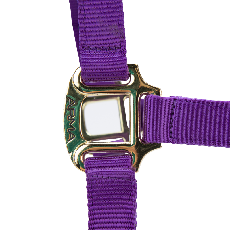 Shires ARMA Premium Adjustable FieldSafe Headcollar - Purple-6