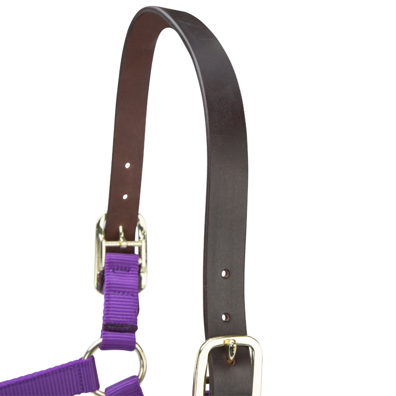 Shires ARMA Premium Adjustable FieldSafe Headcollar - Purple-1