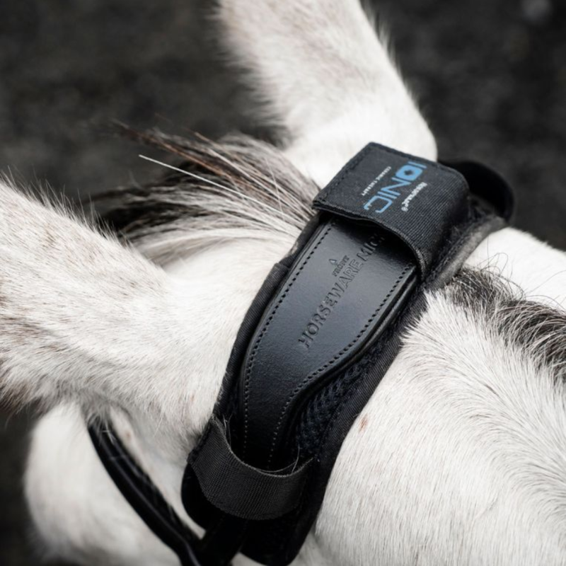 Horseware Ionic Poll Cover - Black