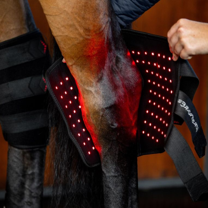 Horseware LED Red Light Therapy Hock Boot - Black/Black-1