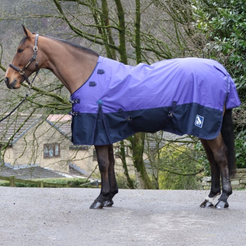 John Whitaker 50g Combo Turnout Rug - Purple/Navy-1