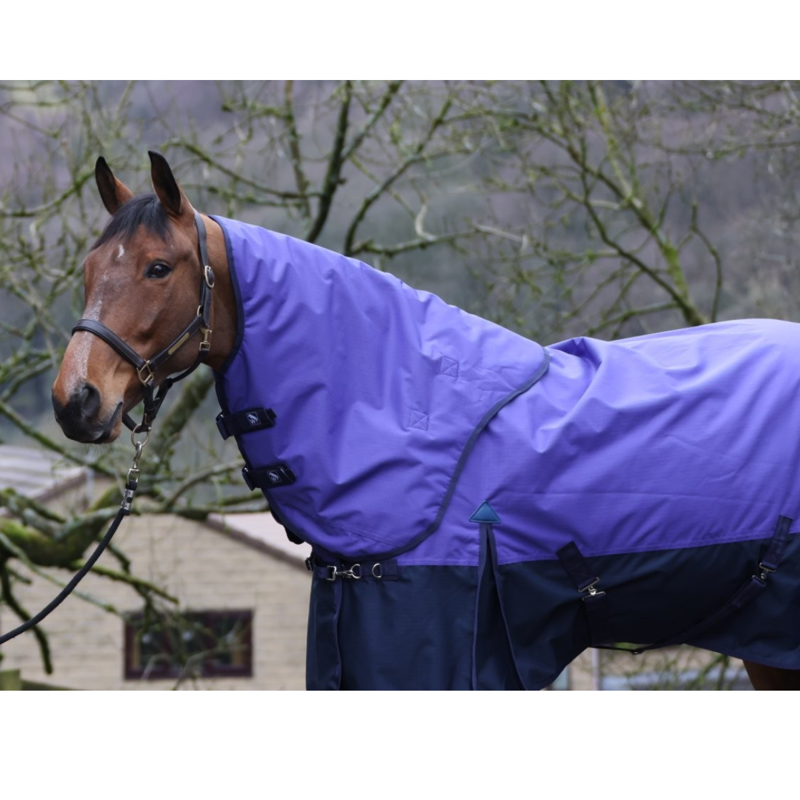 John Whitaker 50g Combo Turnout Rug - Purple/Navy-8