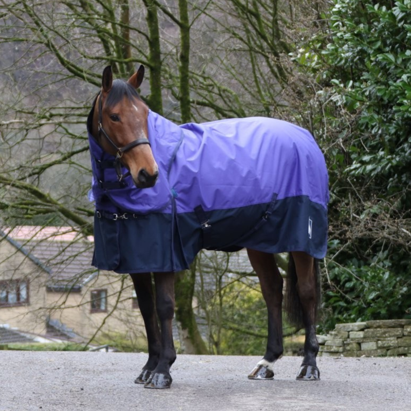 John Whitaker 50g Combo Turnout Rug - Purple/Navy-2