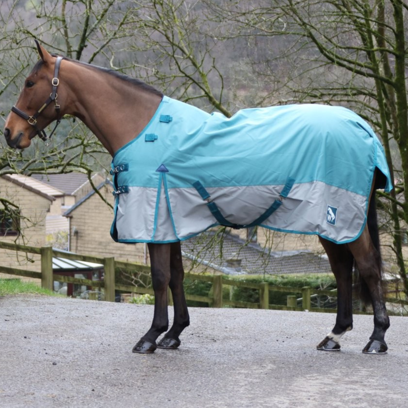 John Whitaker 100g Combo Turnout Rug - Teal/Grey-1
