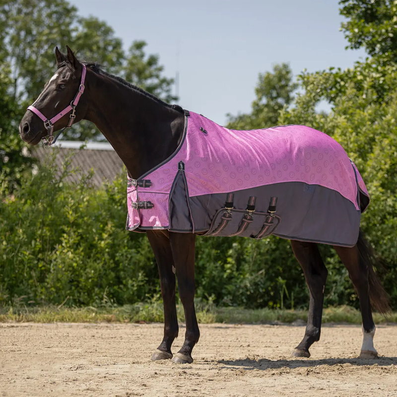QHP Fly Sheet and Mask Collection - Cheery Pink-1