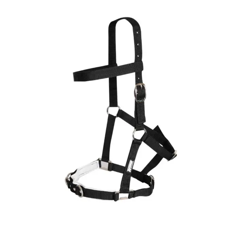 Kincade Nylon Padded Lunge Cavesson Full - Black