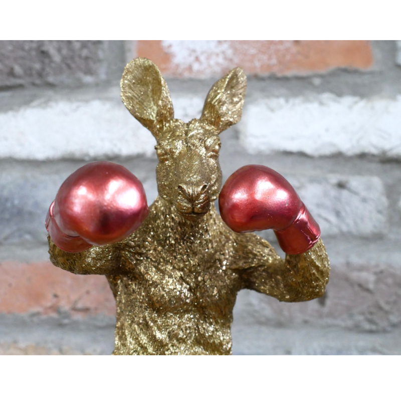 Kangaroo Boxer-1