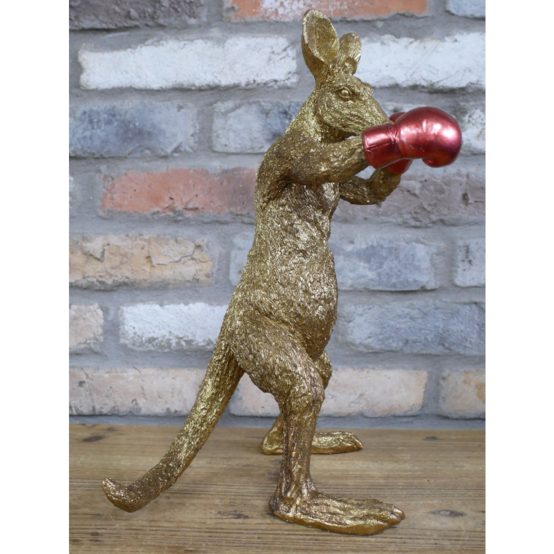 Kangaroo Boxer-2